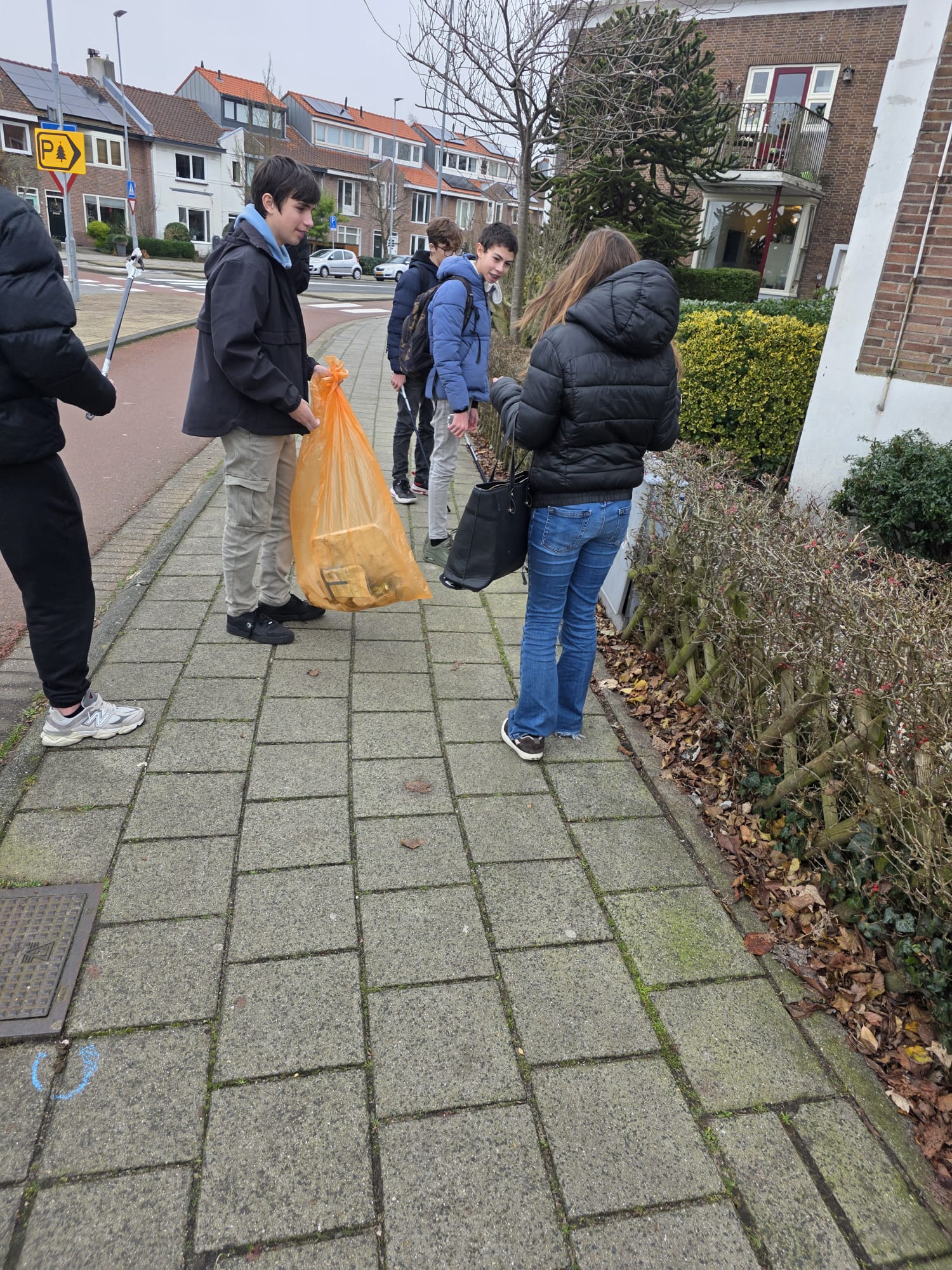 BYD plandelen workshop 2025